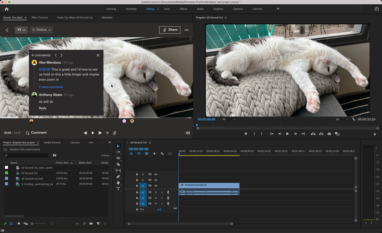 Dropbox Replay Adobe Premiere Pro Integration